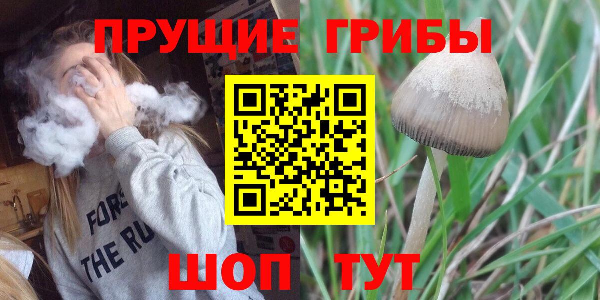 Псилоцибиновые грибы ЛСД Дальнереченск