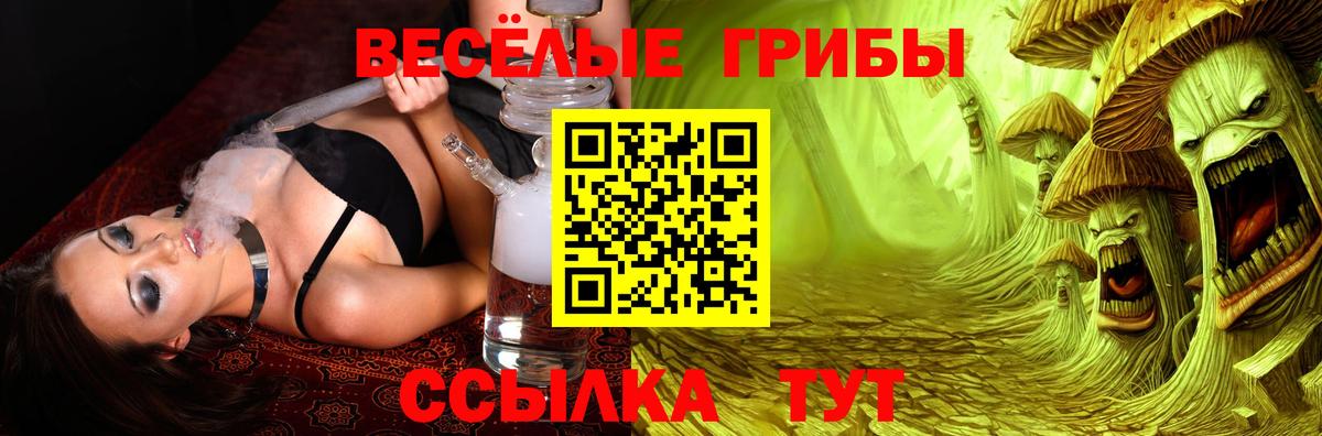 Псилоцибиновые грибы Cubensis  Псилоцибиновые грибы мухоморы  как найти наркотики  Дальнереченск  Вход с VPN 